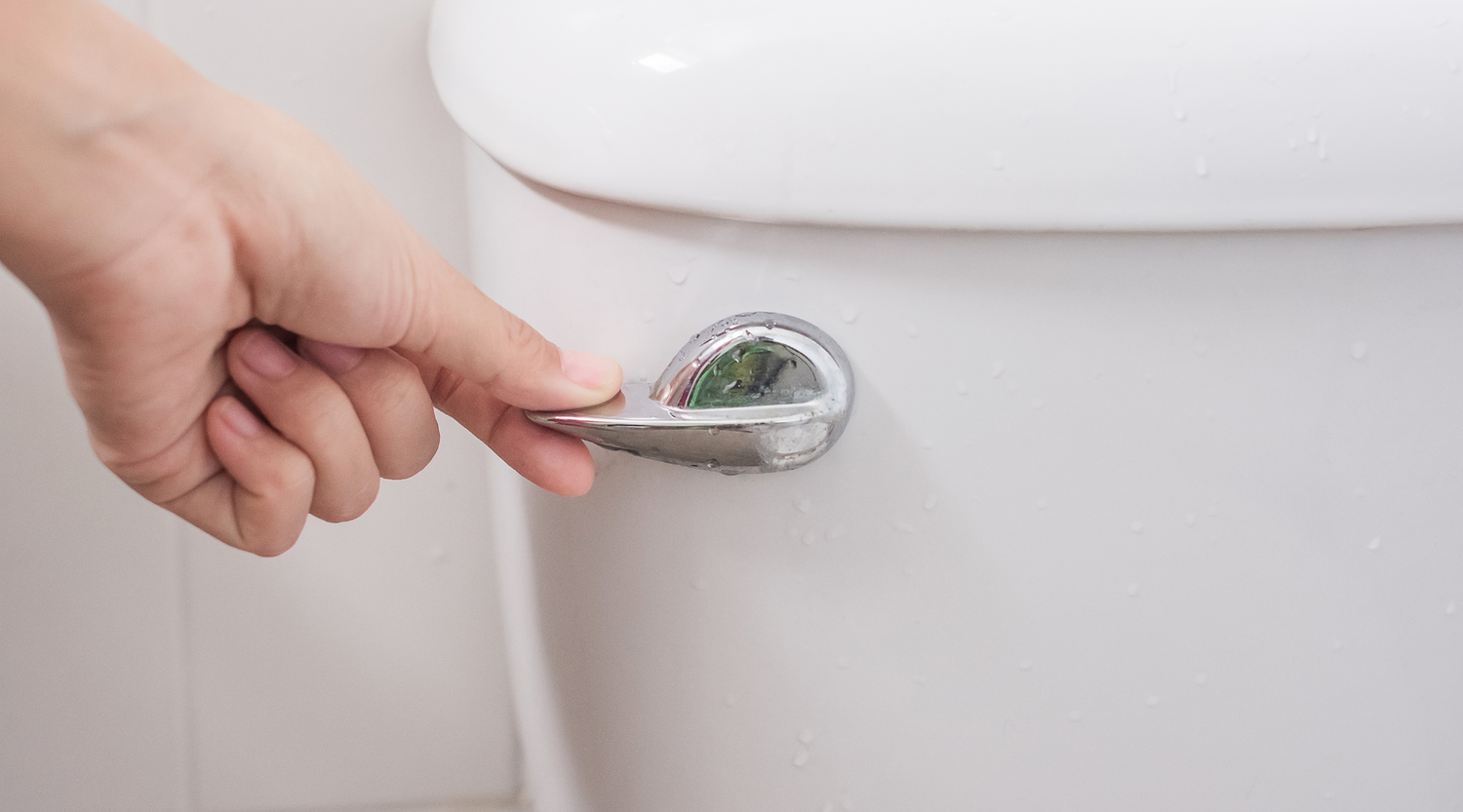 Toilets 101: Choosing the Best Toilet Flapper Replacement by Plumbing Blogs