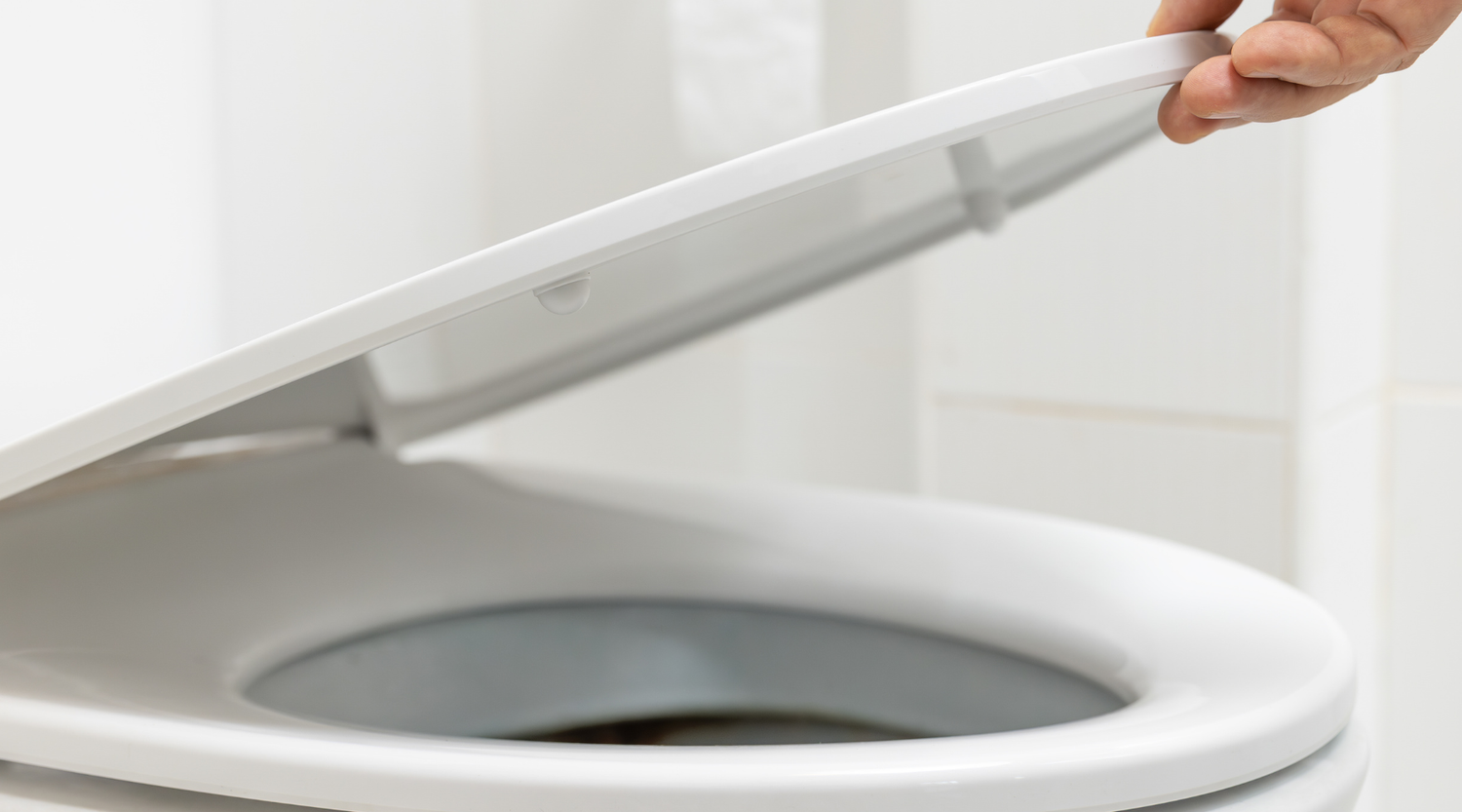 Choosing the Best Toilet Seat: A Comprehensive Buying Guide by Plumbing Deals