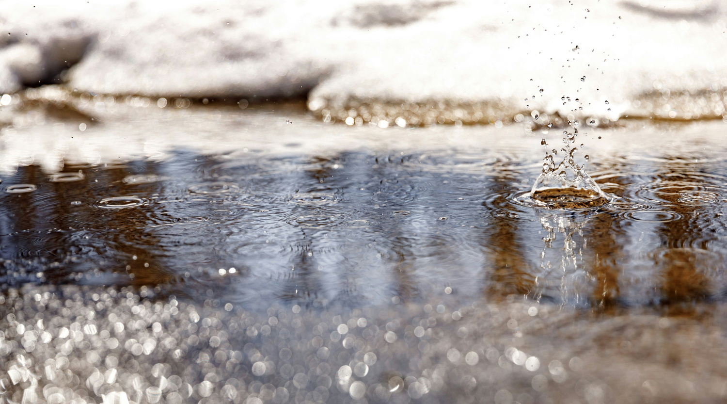 Choosing the Perfect Sump Pump: A Simple Guide to Keep Your Basement Dry by Plumbing Deals