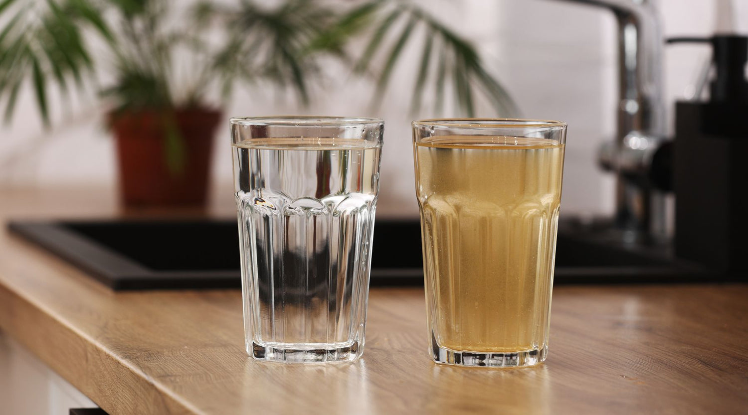 Choosing the Right Water Filtration System by Plumbing Deals