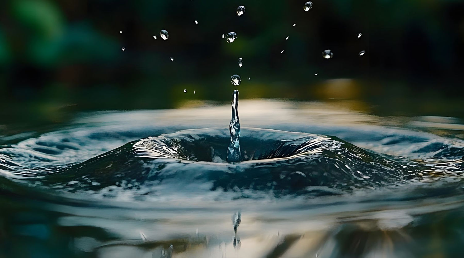 How To Go Green And Help Save The Environment by Plumbing Deals