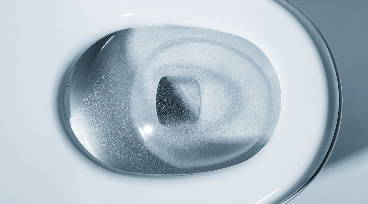 How to Clean a TOTO Washlet Bidet Seat by Plumbing Deals