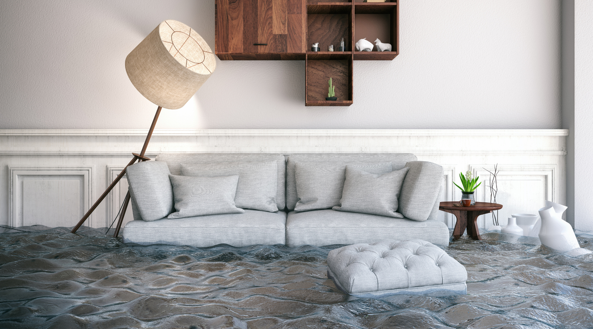 How to Prep Your House for Flood Prevention: A Plumbing-Based Guide by Plumbing Deals