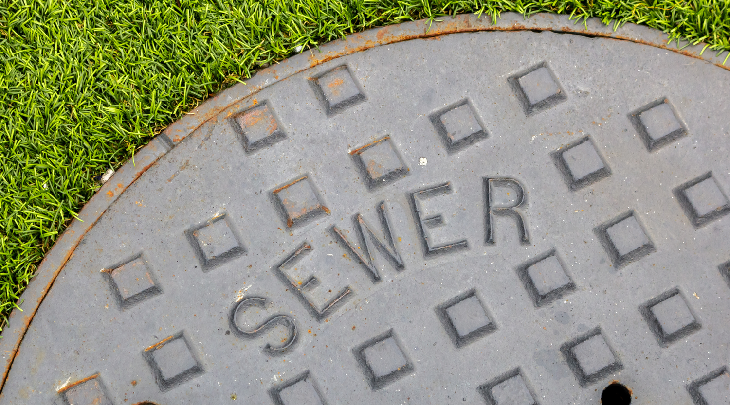 Pumps 101: Factors to Consider When Purchasing a Sewage Pump by Plumbing Deals