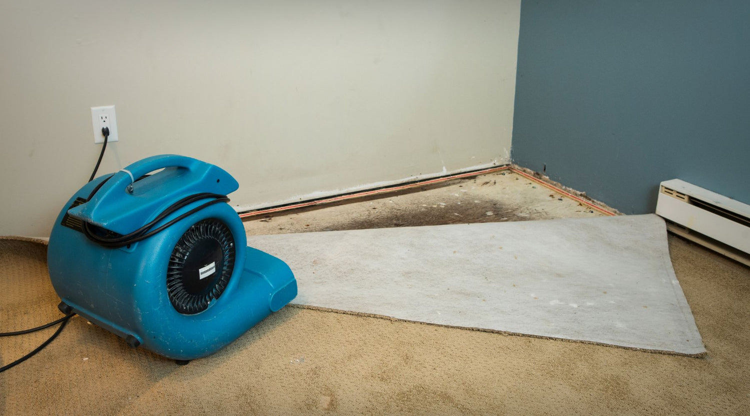 Spring Plumbing Maintenance Tips to Avoid Basement Floods by Plumbing Deals