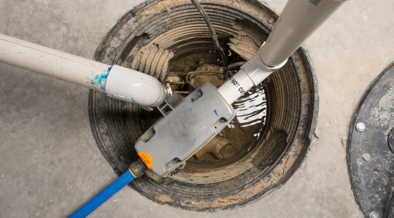 Top Sump Pumps for Spring 2025 by Plumbing Deals