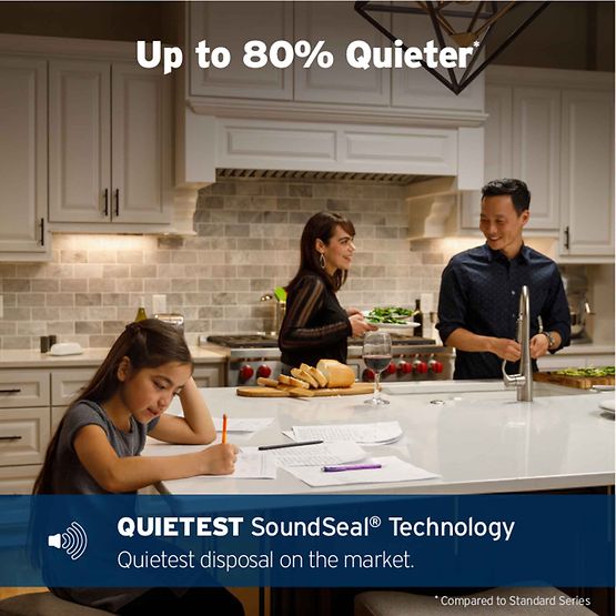 InSinkErator Advanced Series Pro 1000 Garbage Disposal with Cord, 1HP in Black - 79852K-ISE