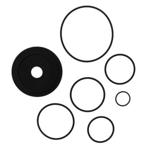 Black rubber seal and multiple rubber O-rings of various sizes arranged on white background.