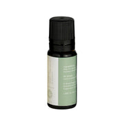 Small dark glass bottle with black screw cap and green and cream label listing ingredients and Mr. Steam branding.