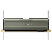 Polished brass linear steam head with horizontal ridged design, aroma tray, and mounting brackets, viewed from front.