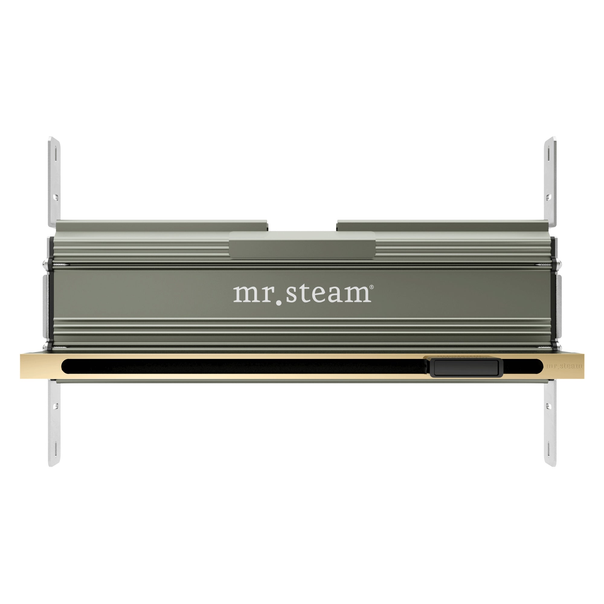 Mr. Steam Linear 16 in. Steamhead with AromaTherapy Reservoir