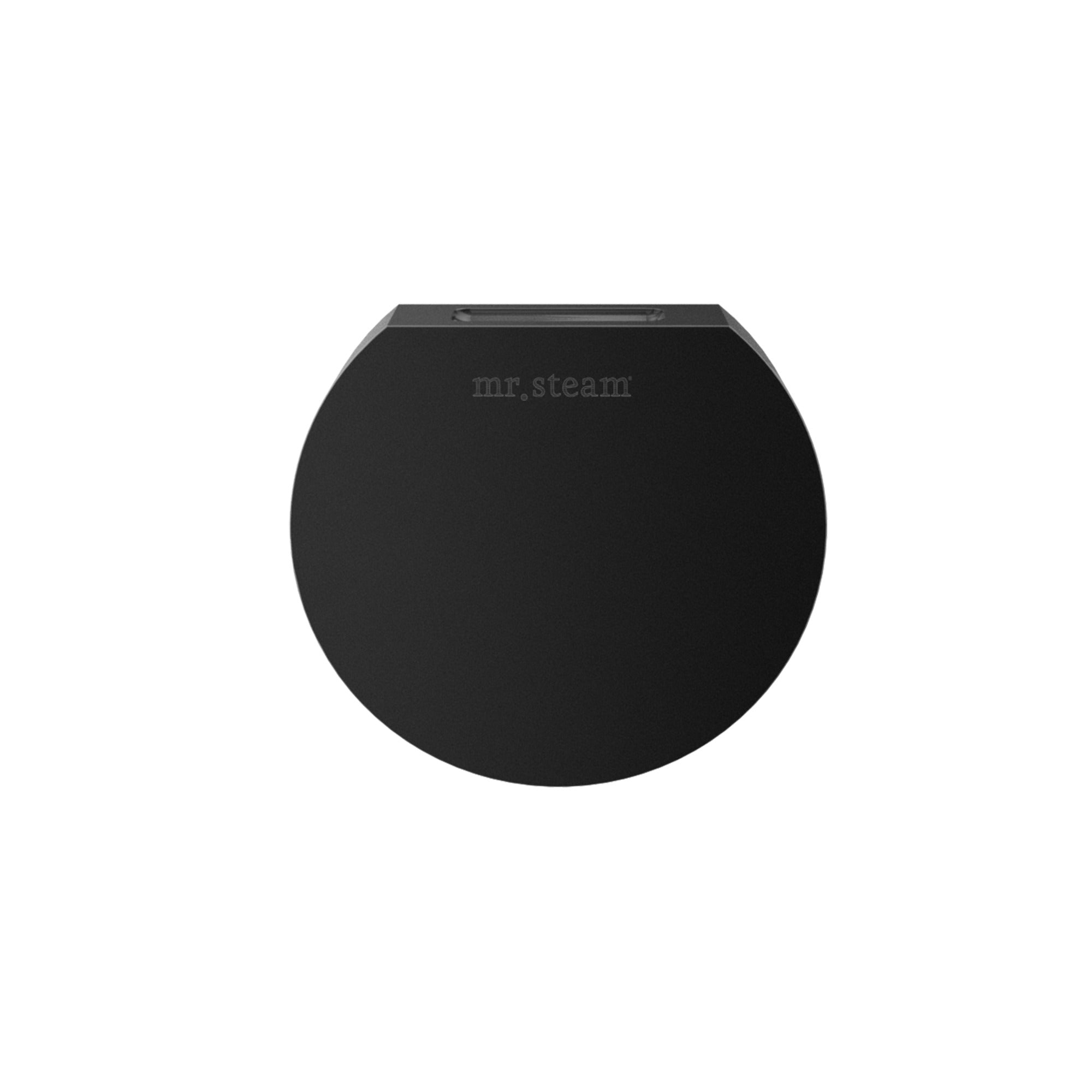Mr. Steam Designer Round 3 in. Steamhead with AromaTherapy Reservoir