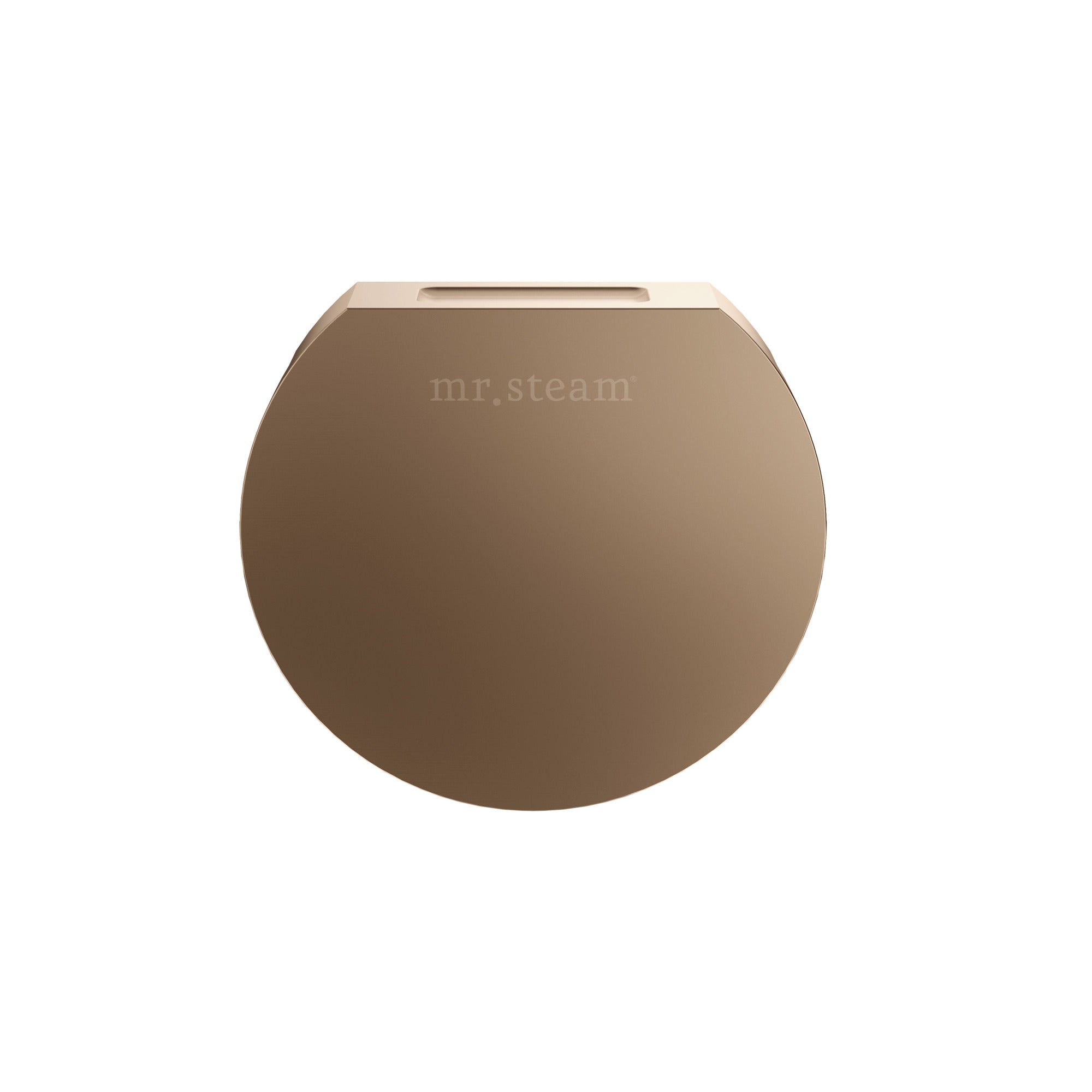 Mr. Steam Designer Round 3 in. Steamhead with AromaTherapy Reservoir