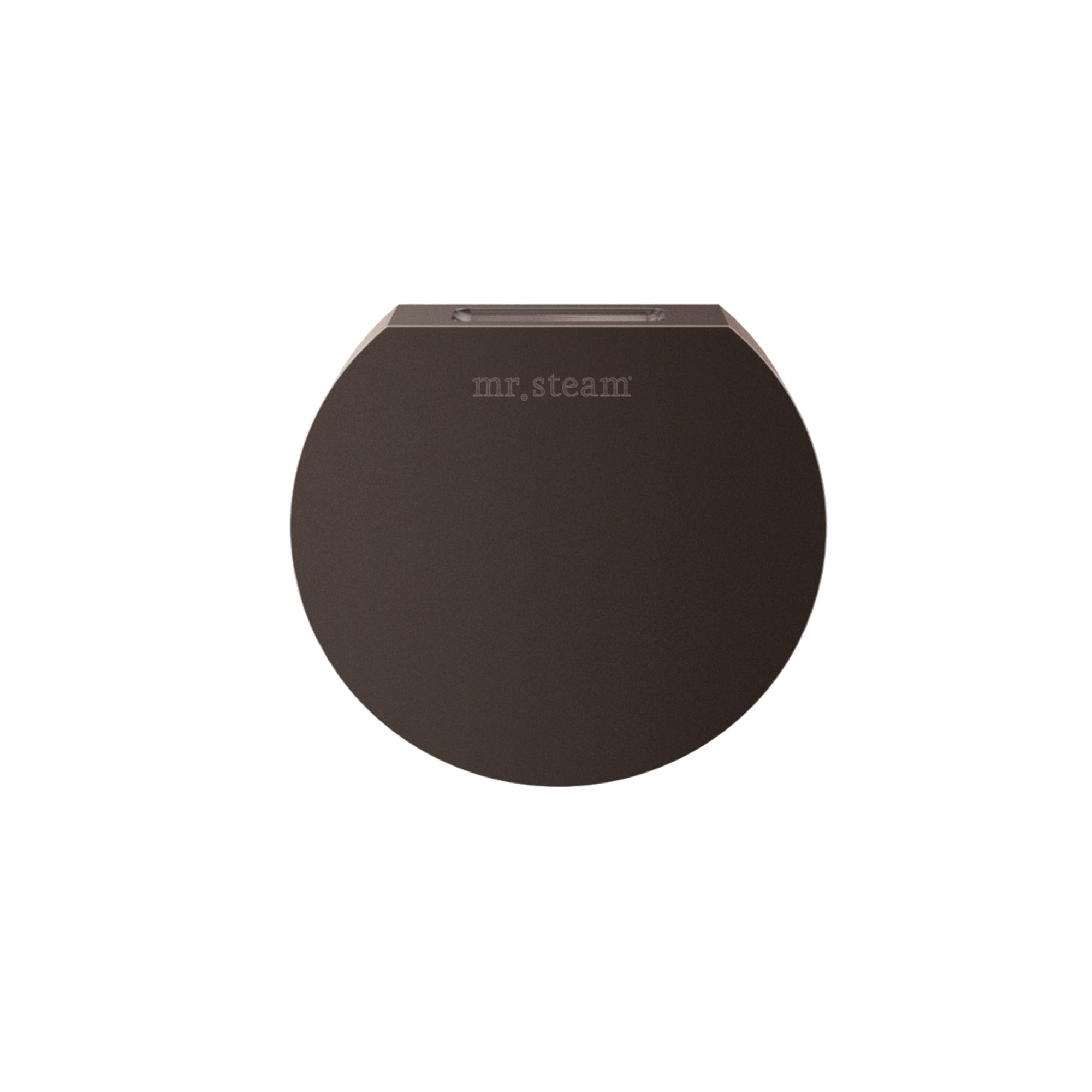 Mr. Steam Designer Round 3 in. Steamhead with AromaTherapy Reservoir