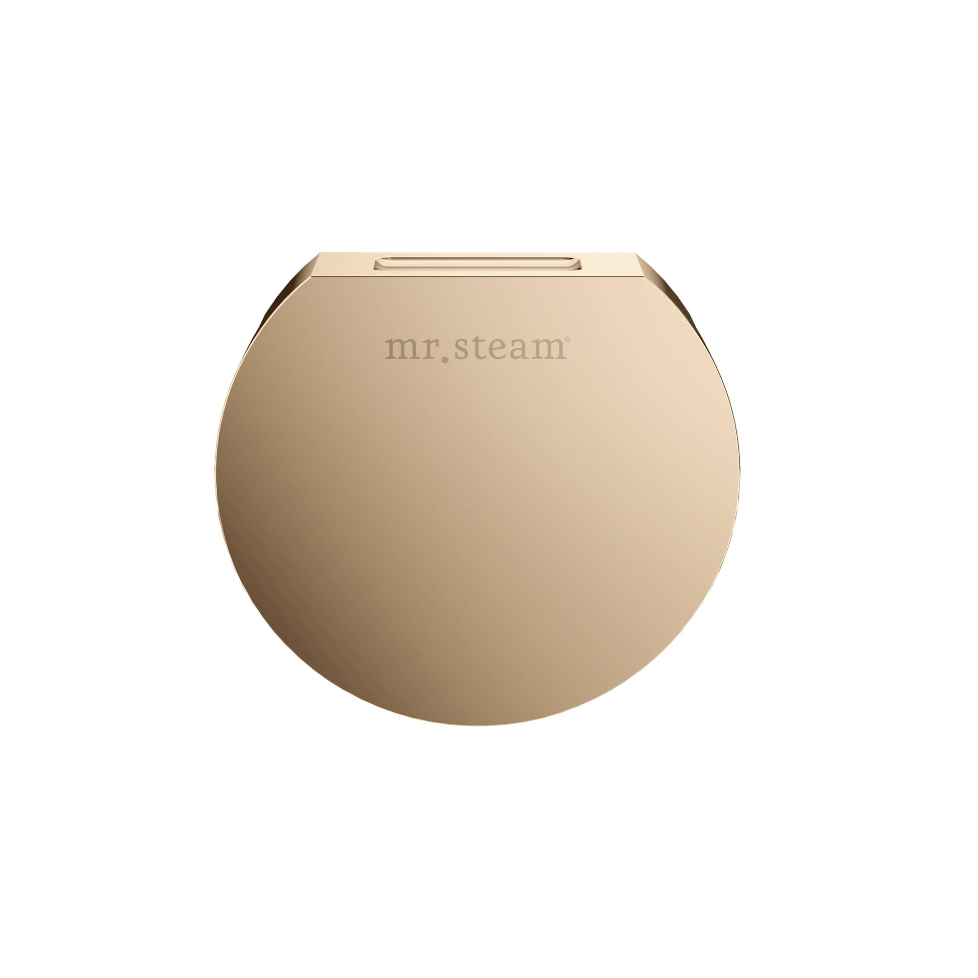 Mr. Steam Designer Round 3 in. Steamhead with AromaTherapy Reservoir