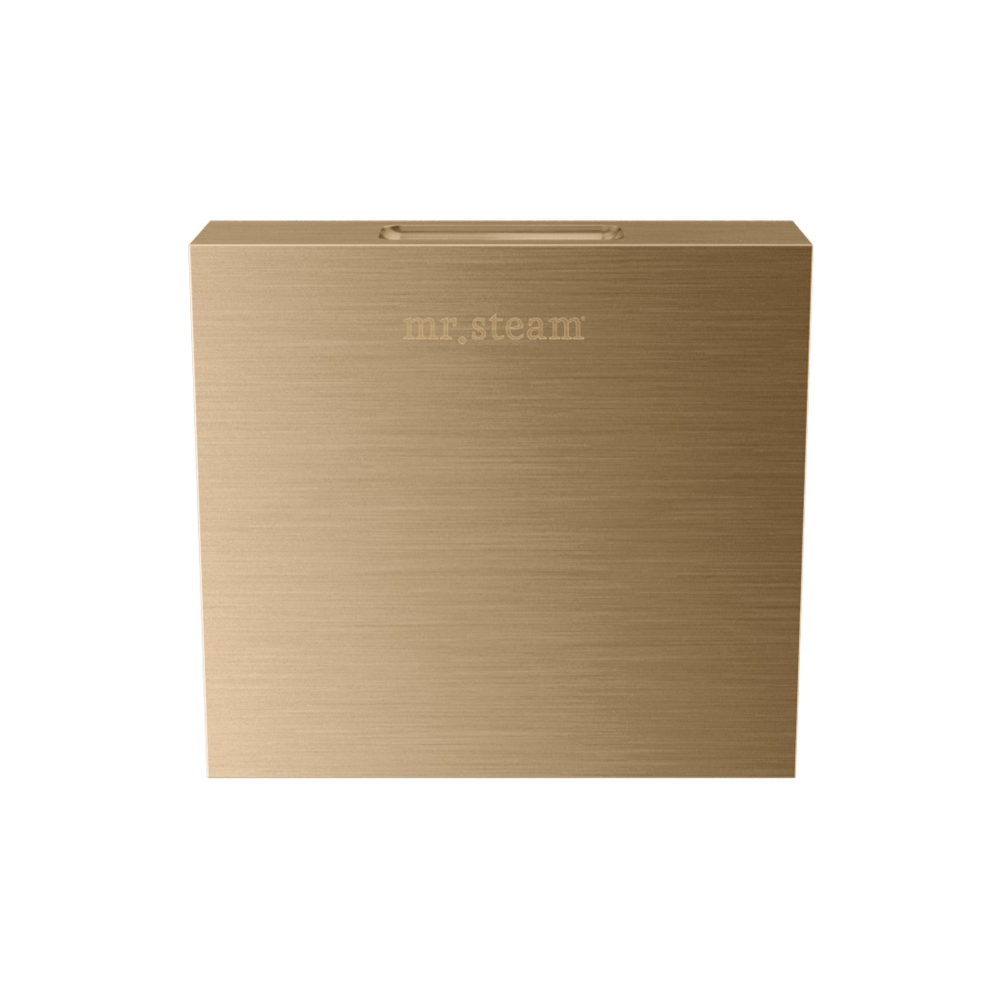 Mr. Steam Designer Square 3 in. Steamhead with AromaTherapy Reservoir