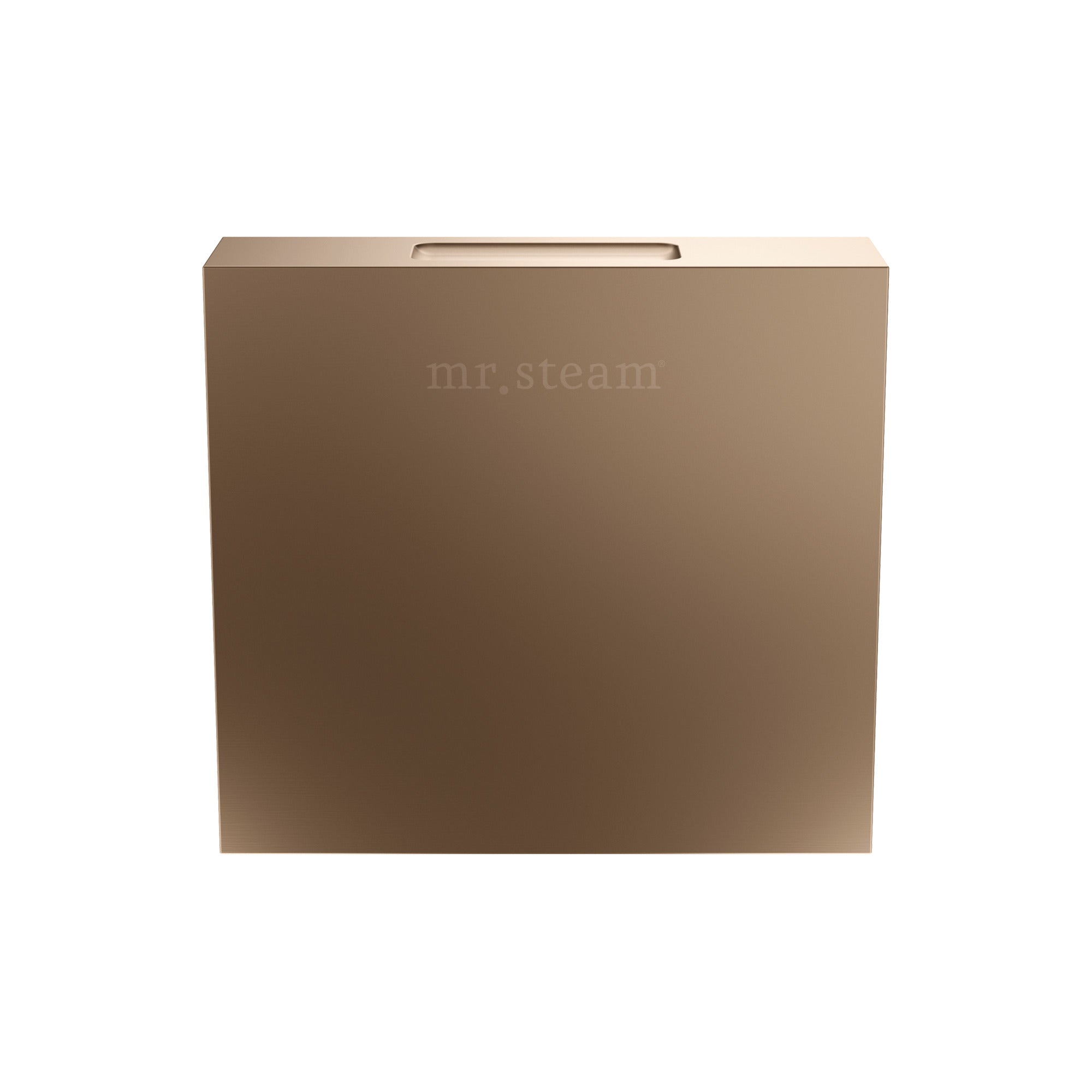 Mr. Steam Designer Square 3 in. Steamhead with AromaTherapy Reservoir