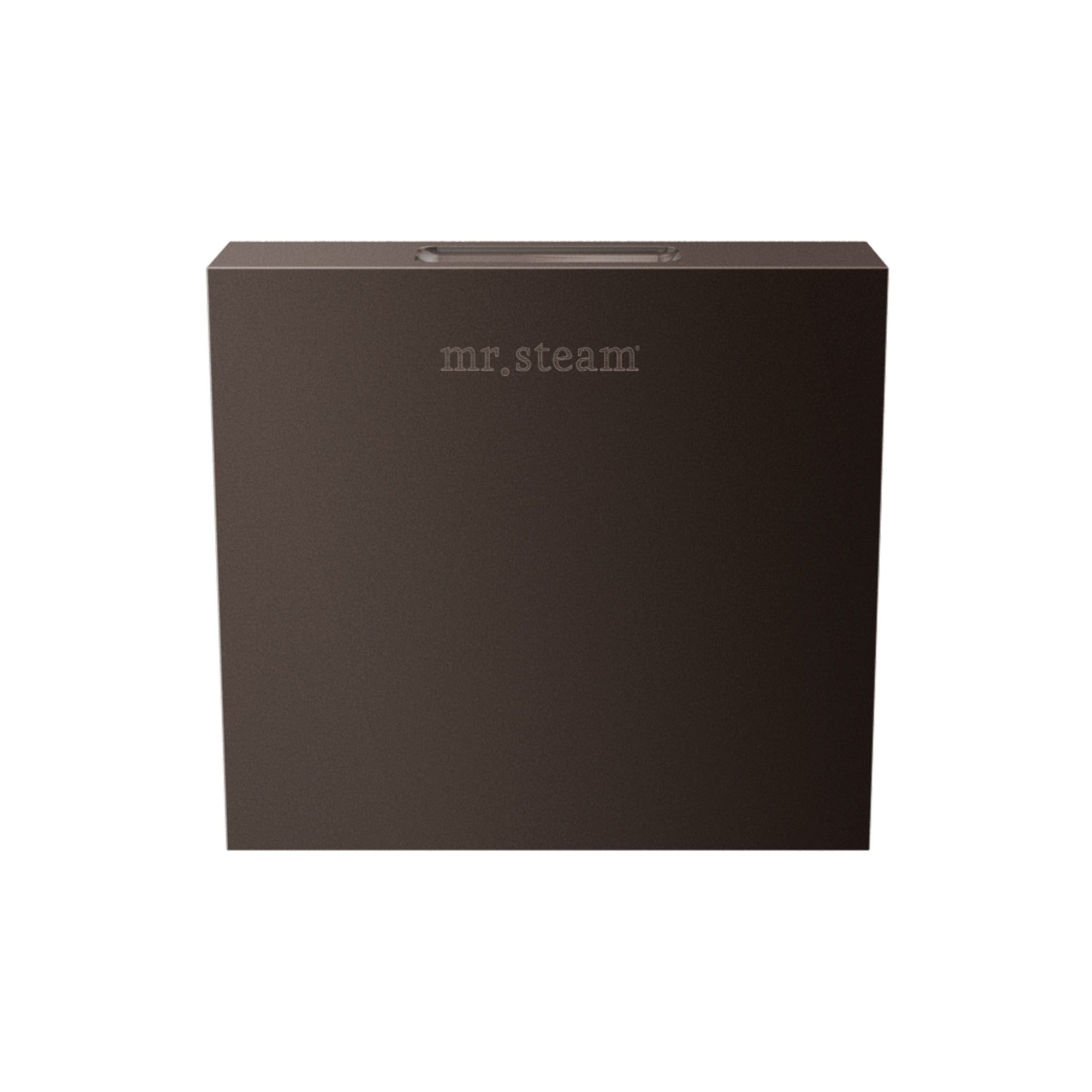 Mr. Steam Designer Square 3 in. Steamhead with AromaTherapy Reservoir