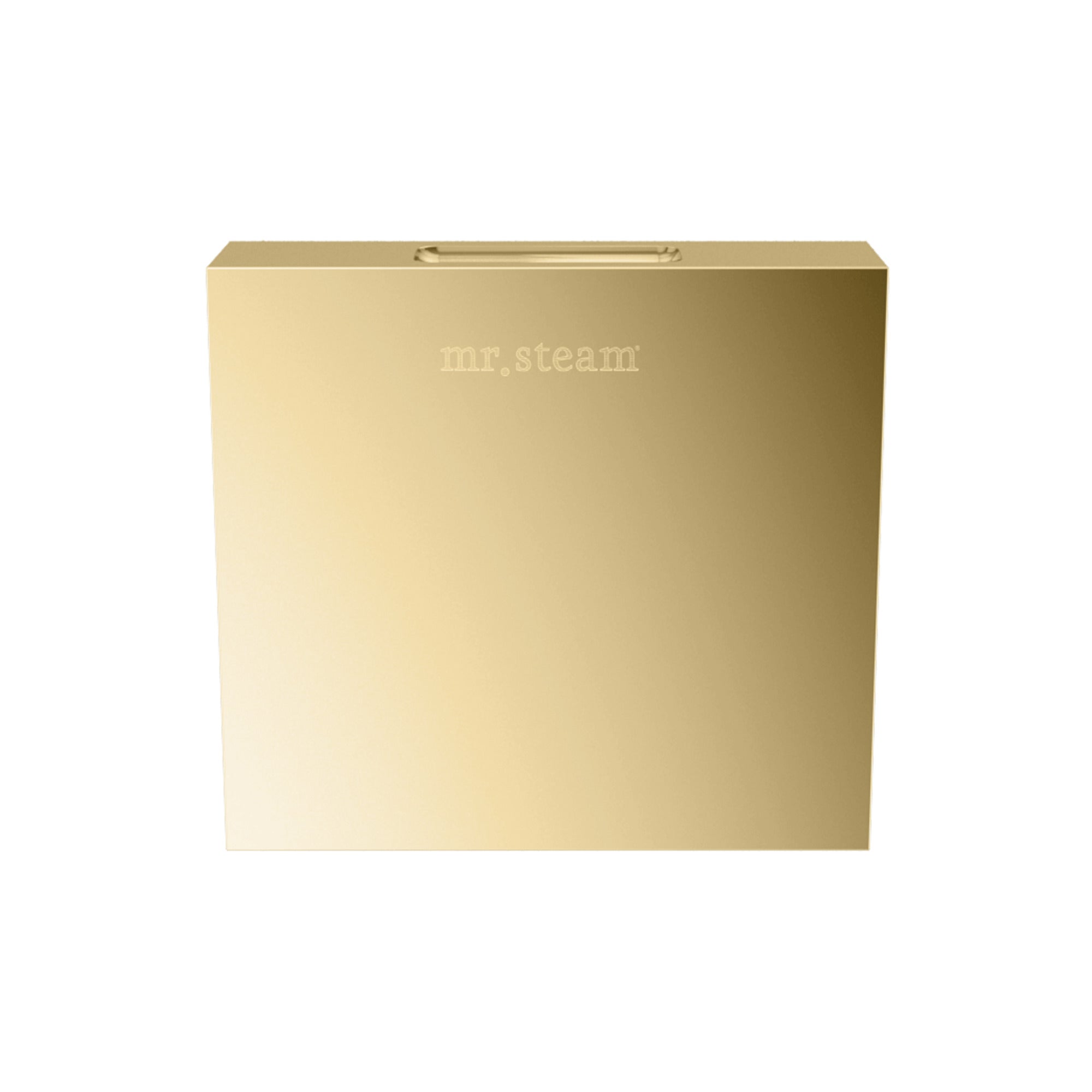 Mr. Steam Designer Square 3 in. Steamhead with AromaTherapy Reservoir