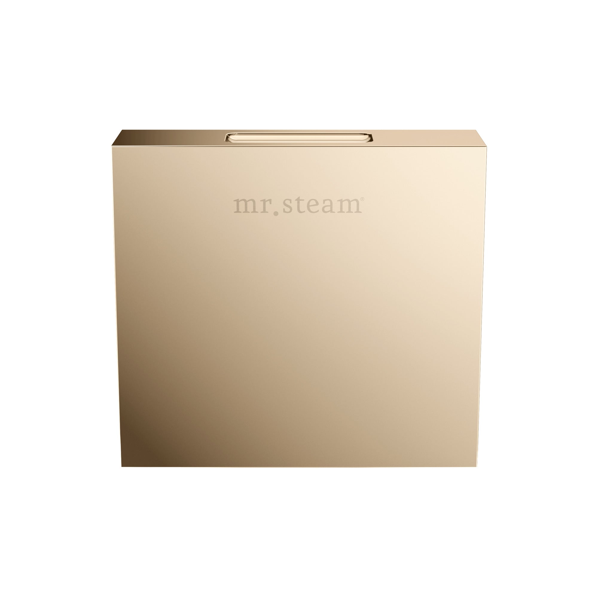Mr. Steam Designer Square 3 in. Steamhead with AromaTherapy Reservoir