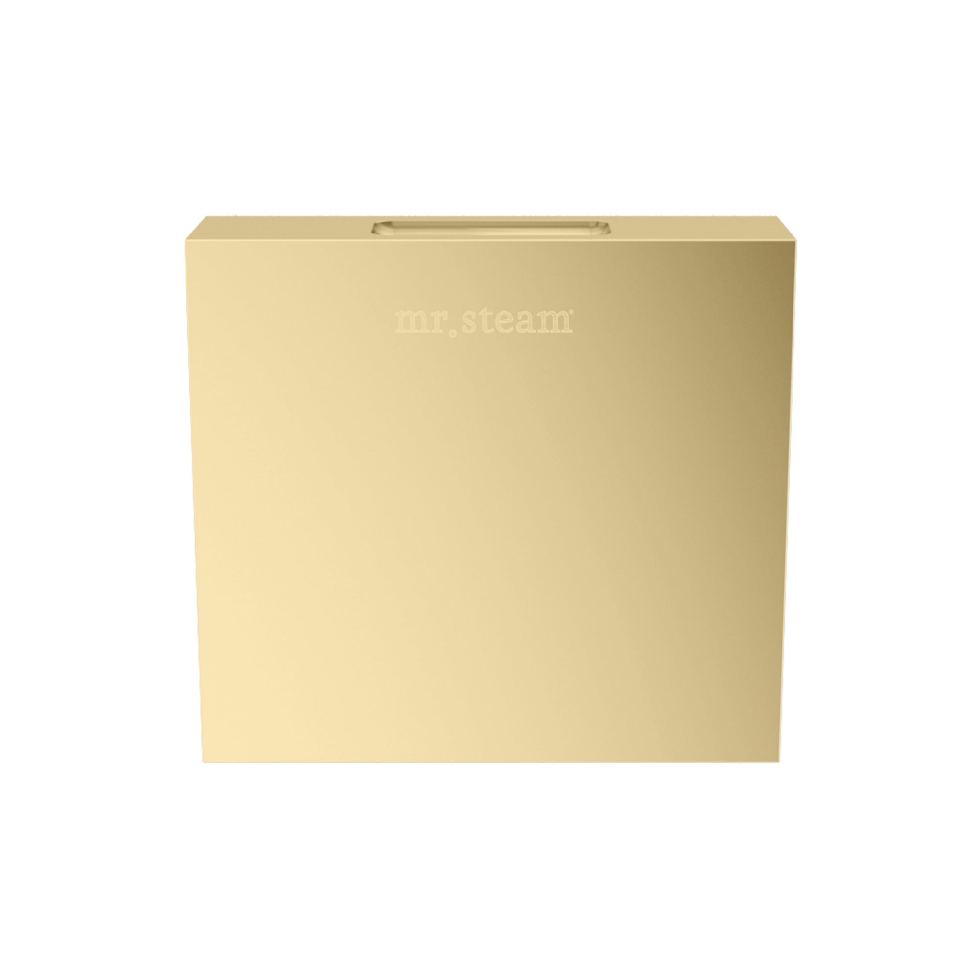 Mr. Steam Designer Square 3 in. Steamhead with AromaTherapy Reservoir