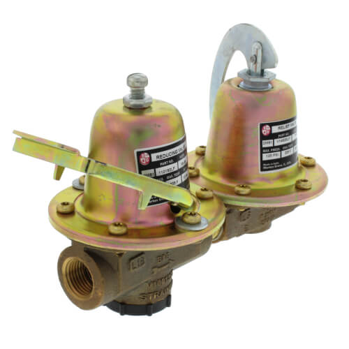 Bell & Gossett 110197LF Dual Unit Brass