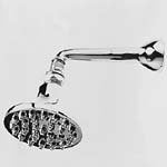 Antique brass single function shower head with adjustable arm and oval perforated face plate.