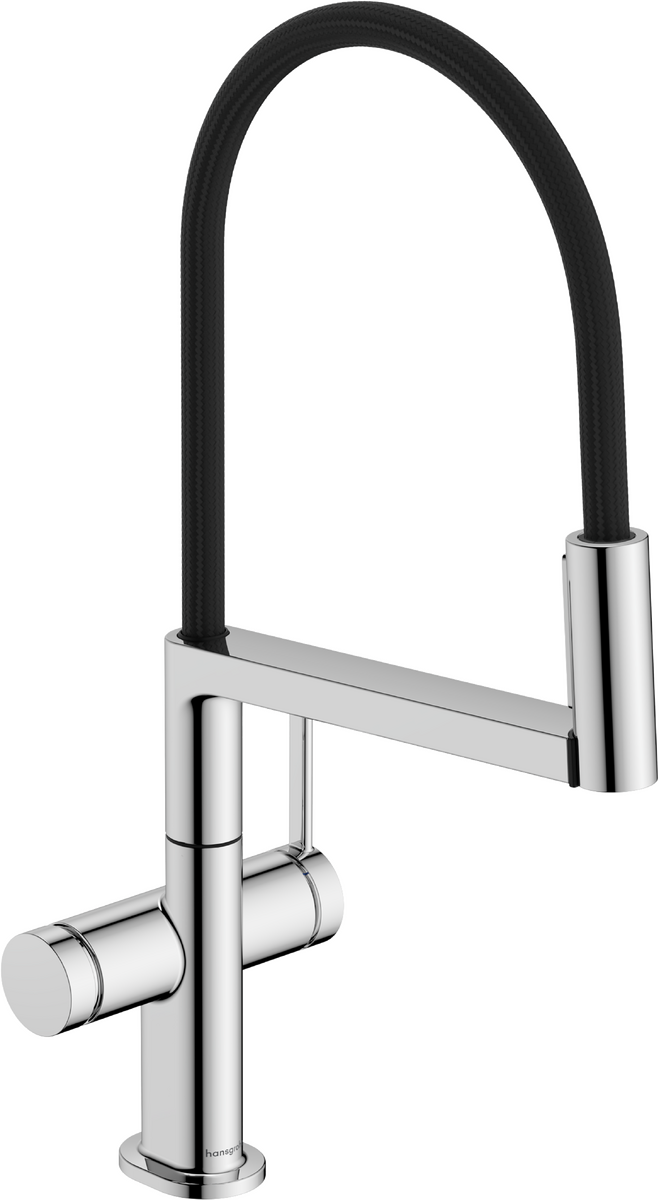 Hansgrohe Talis N Semi-Pro PowderSpray Kitchen Faucet 1.75 GPM