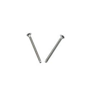 Two chrome-plated metal screws with Phillips heads arranged in a V-shape.