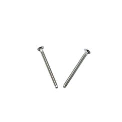 Two chrome-plated metal screws with Phillips heads arranged in a V-shape.