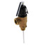 Brass temperature and pressure relief valve with black handle and threaded connection.
