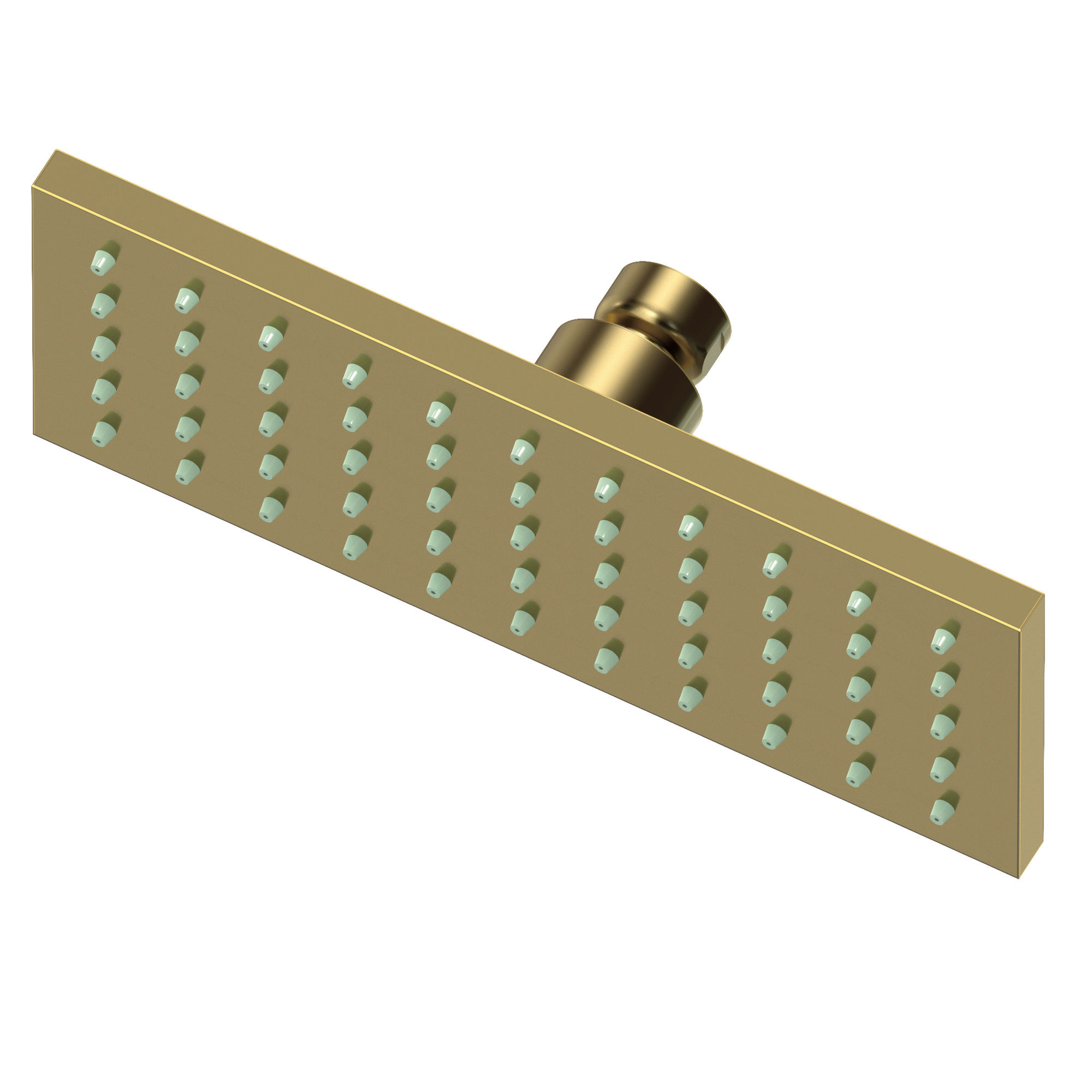 Newport Brass 1.8 GPM Square Single Function Rain Shower Head