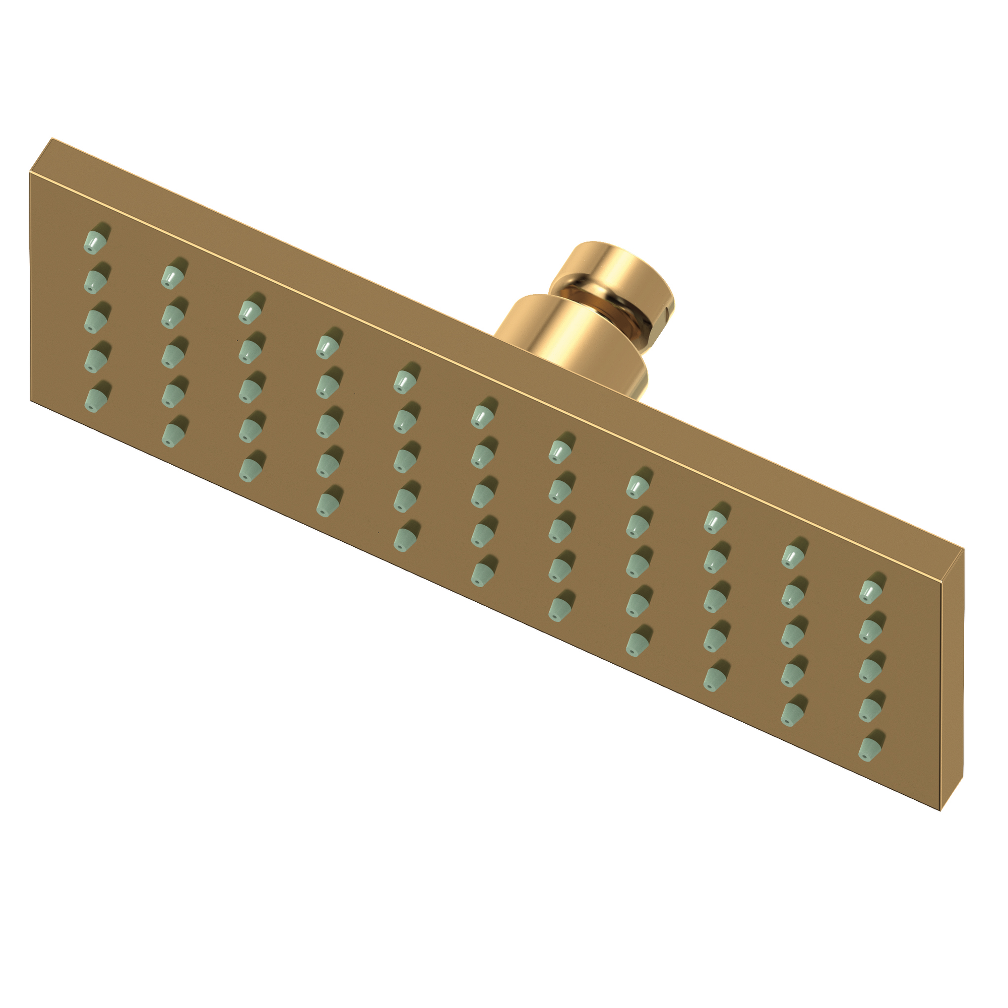 Newport Brass 1.8 GPM Square Single Function Rain Shower Head