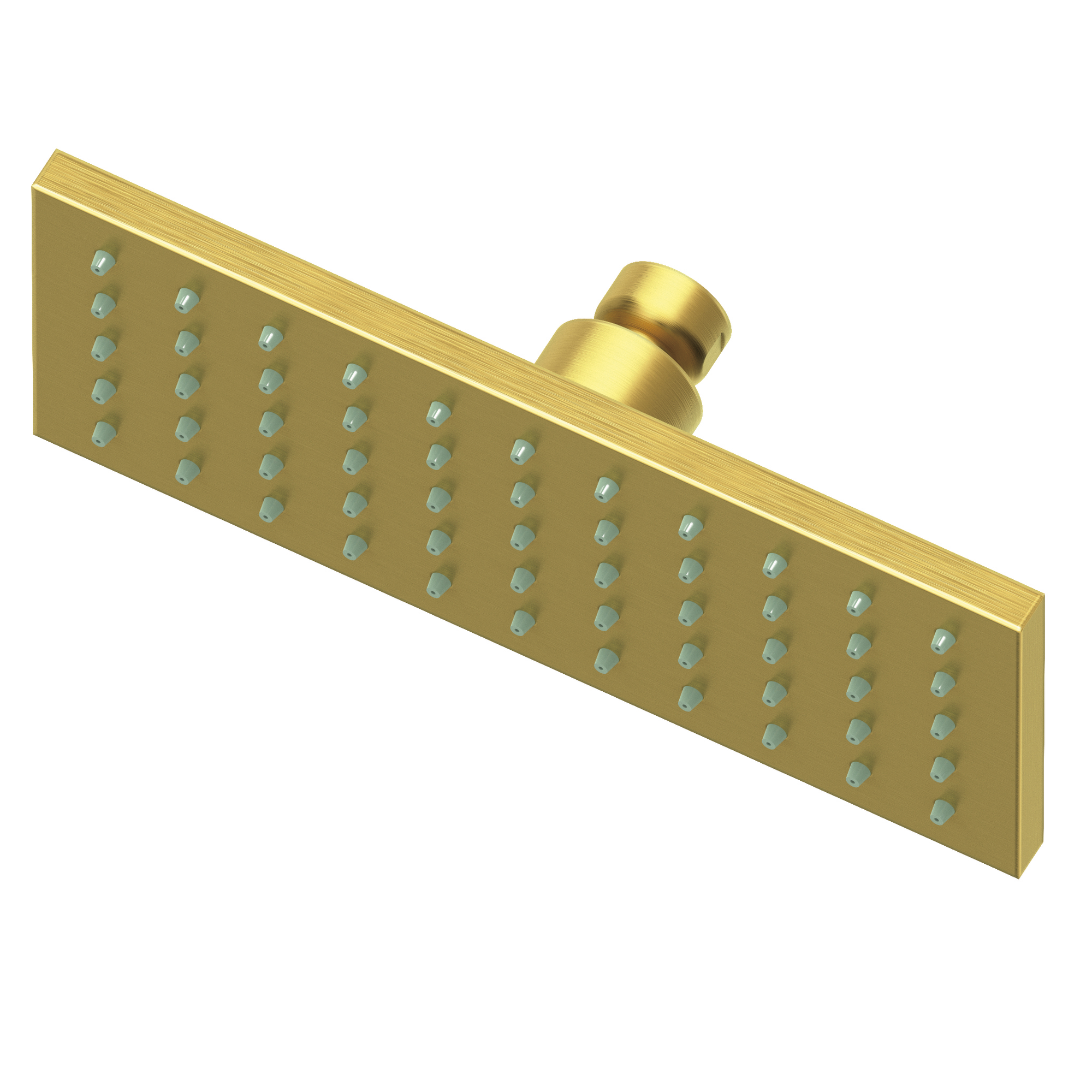 Newport Brass 1.8 GPM Square Single Function Rain Shower Head