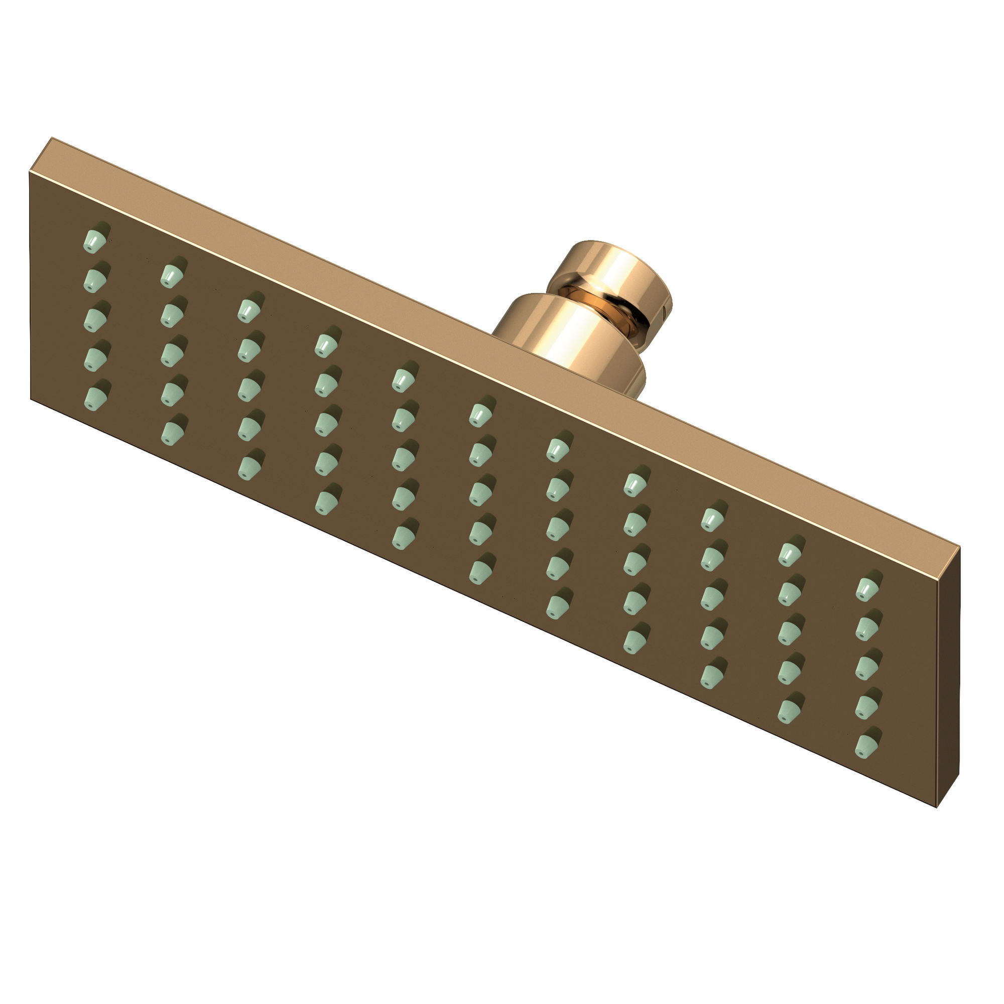 Newport Brass 1.8 GPM Square Single Function Rain Shower Head