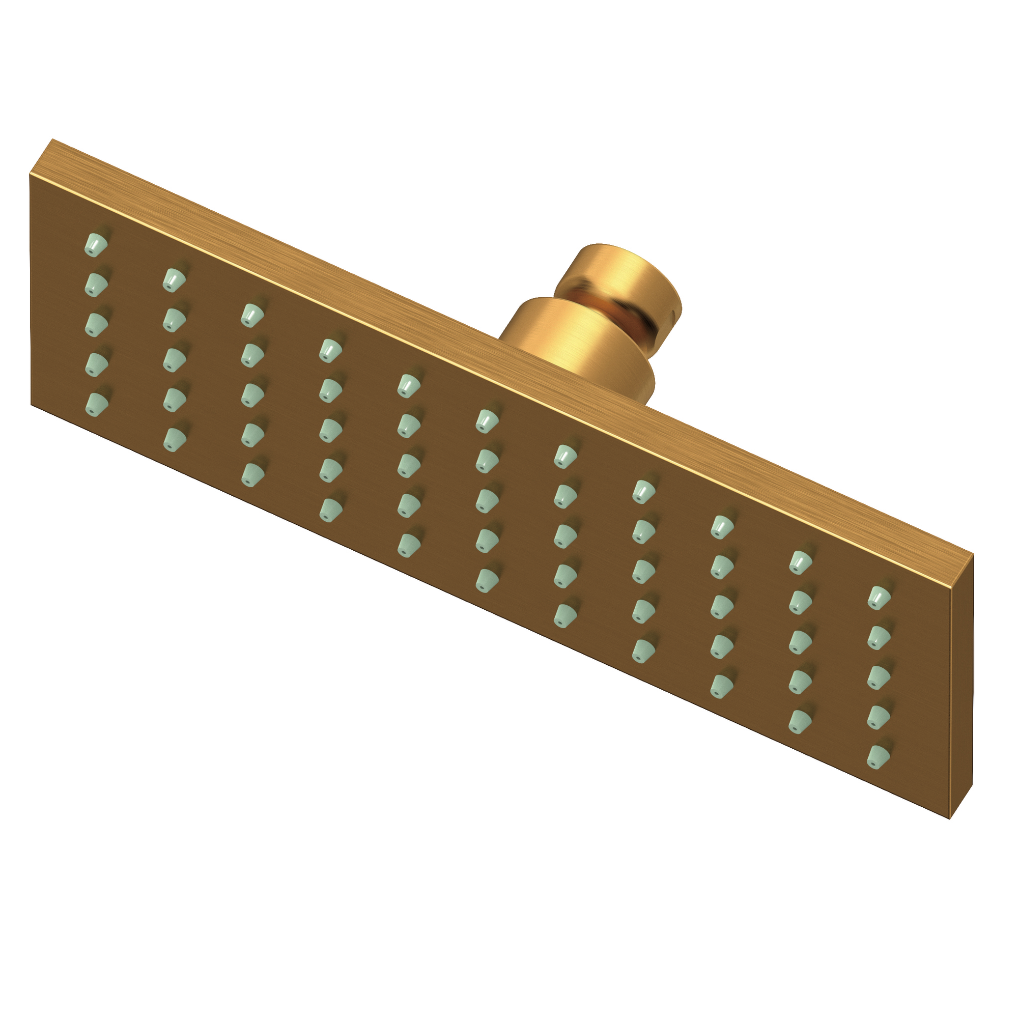 Newport Brass 1.8 GPM Square Single Function Rain Shower Head