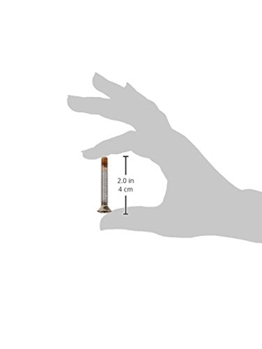 Two stainless steel screws with measurement scale showing 2.0 inches length held in hand for size reference.