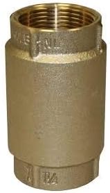 Brass check valve with threaded connections on both ends and cylindrical body.