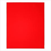 Bright red rectangular sanding sheet with fine abrasive surface.