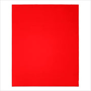 Red rectangular sanding sheet with medium grit surface.