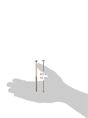 Two extra long champagne bronze finish screws shown with 4.0 inch measurement scale.