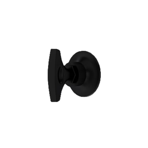 Matte black round trim plate with lever handle for volume control and diverter valve.