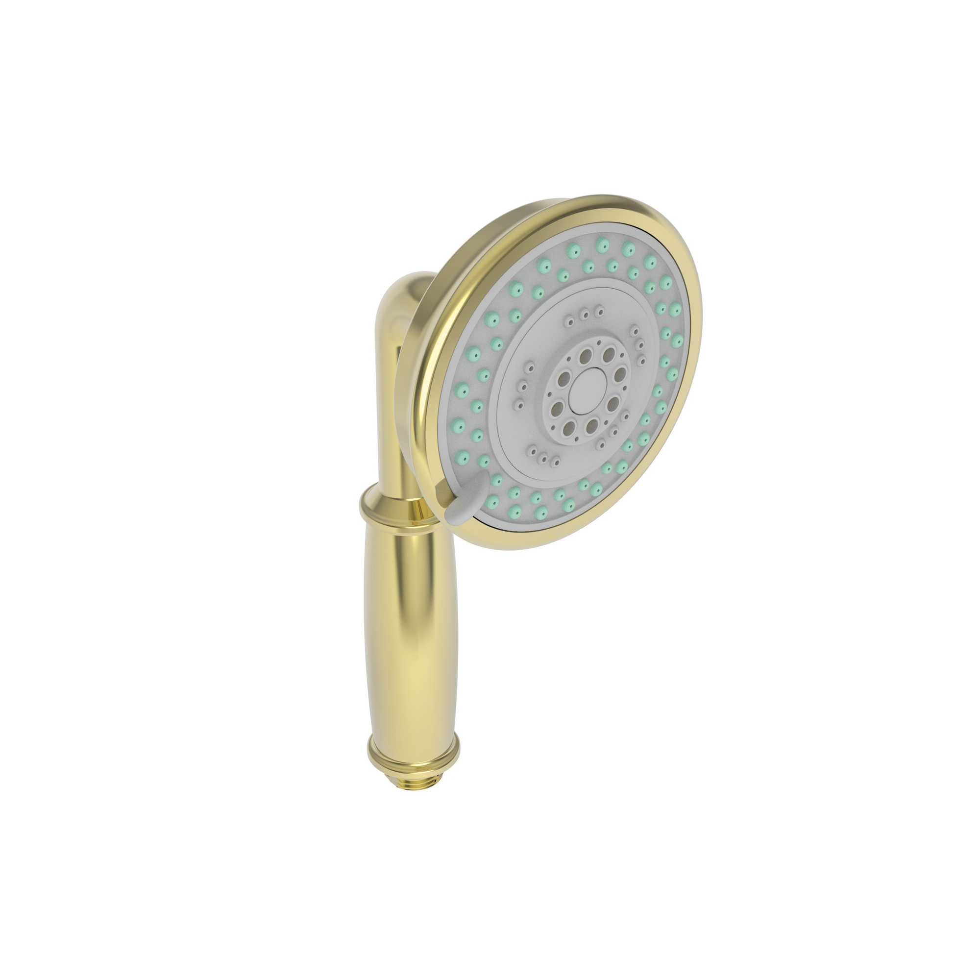 Newport Brass Multifunction Round Hand Shower