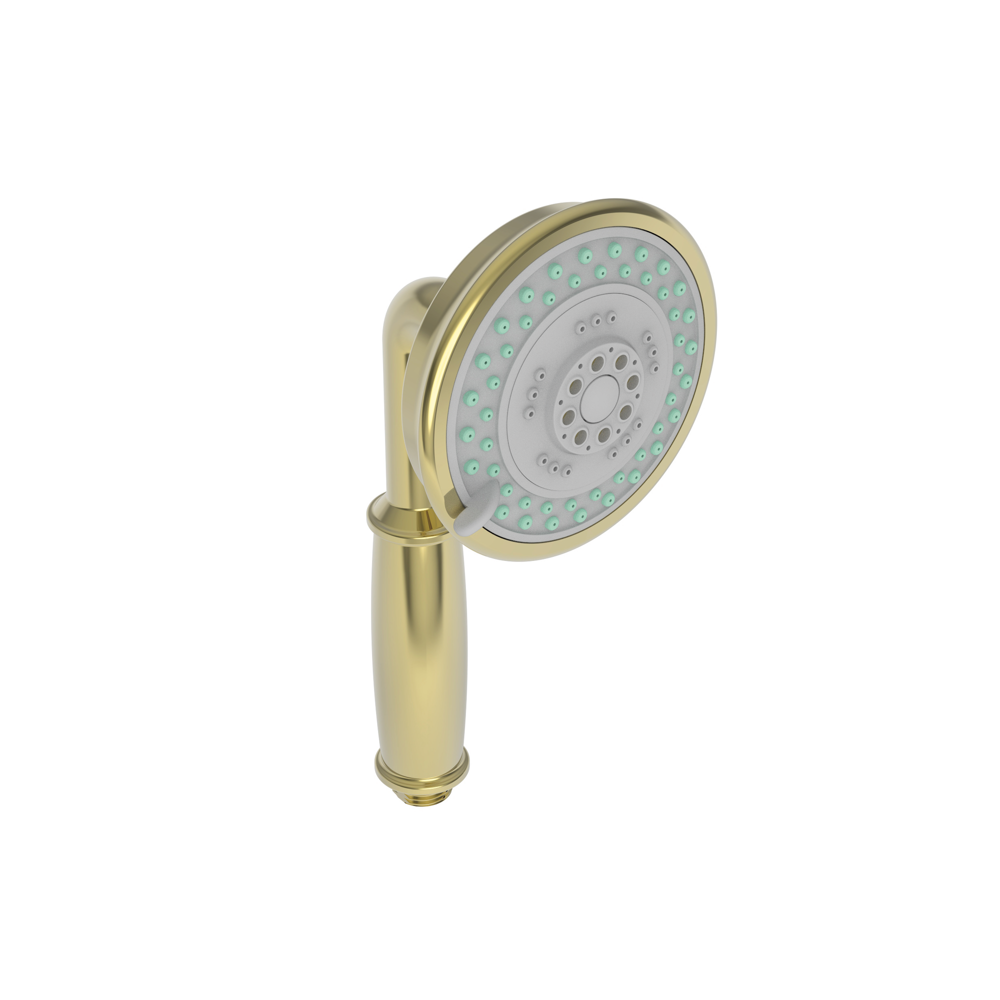 Newport Brass Multifunction Round Hand Shower
