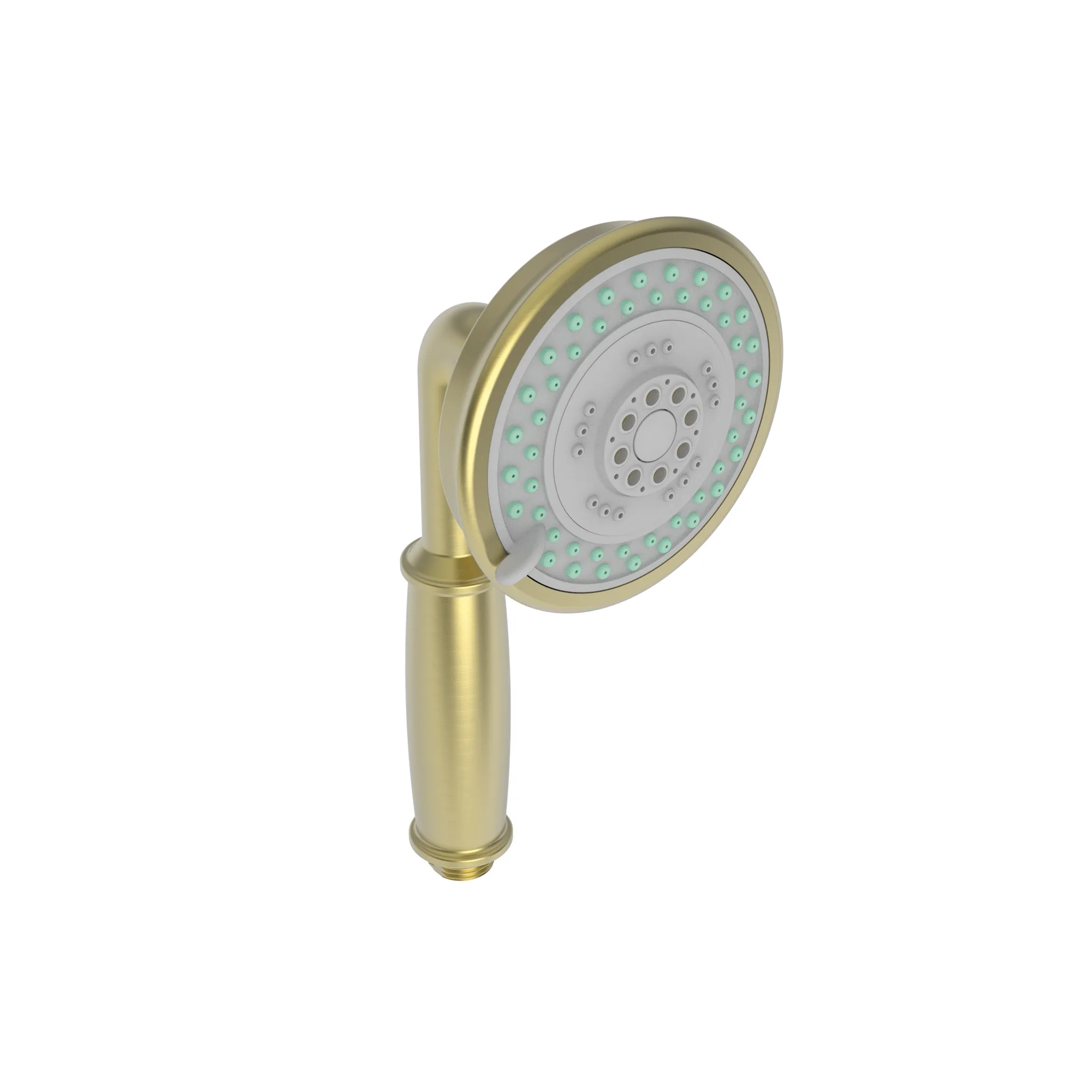 Newport Brass Multifunction Round Hand Shower