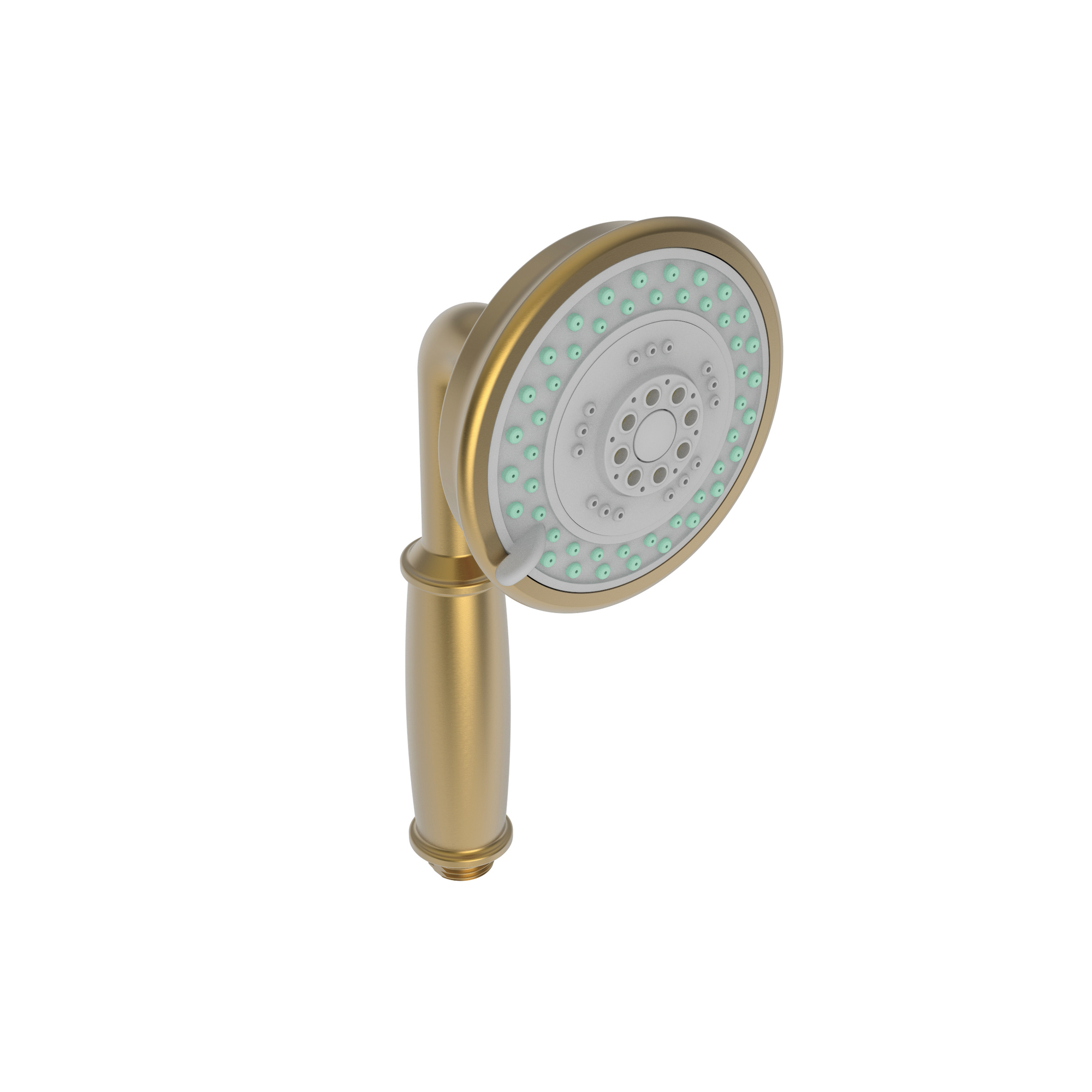 Newport Brass Multifunction Round Hand Shower