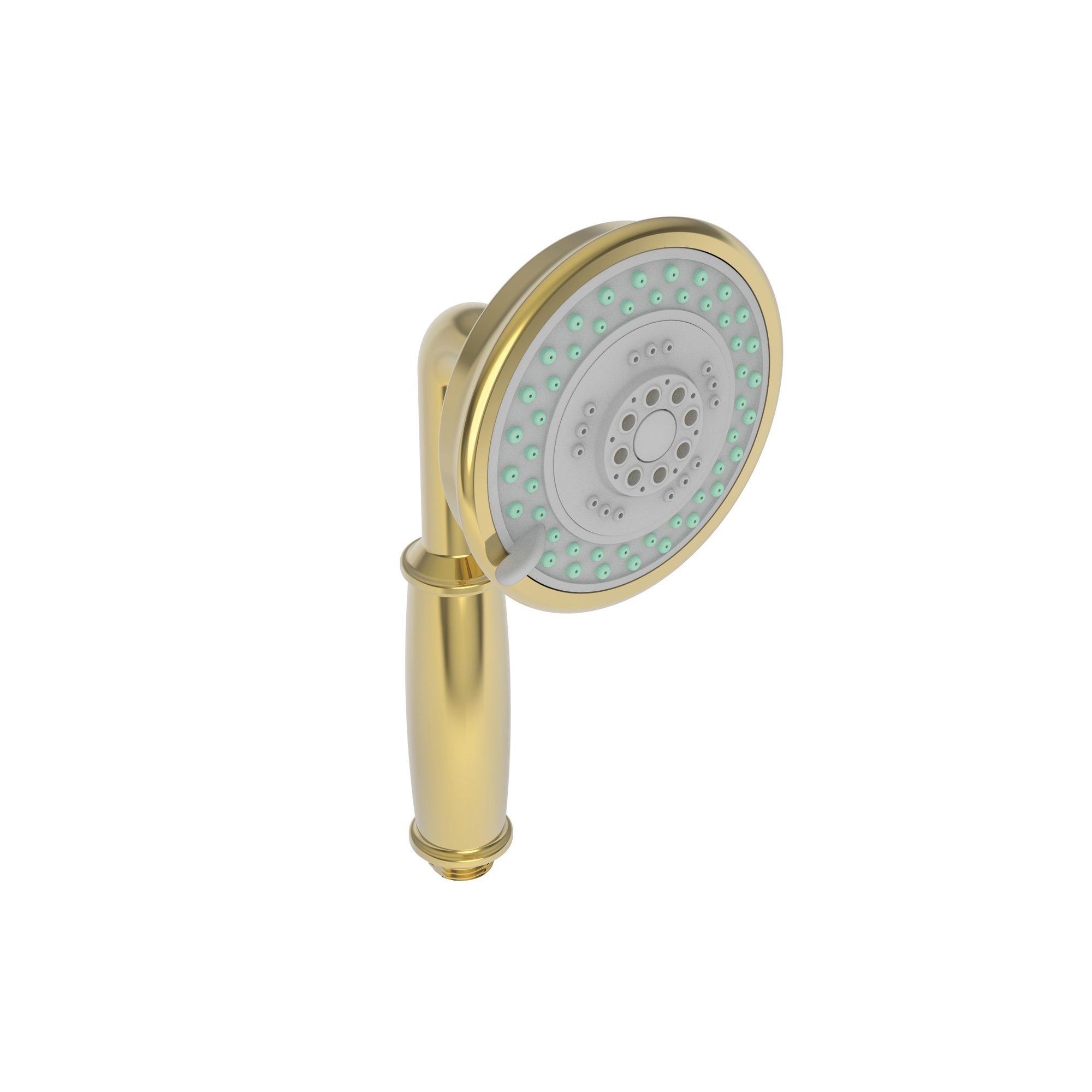Newport Brass Multifunction Round Hand Shower