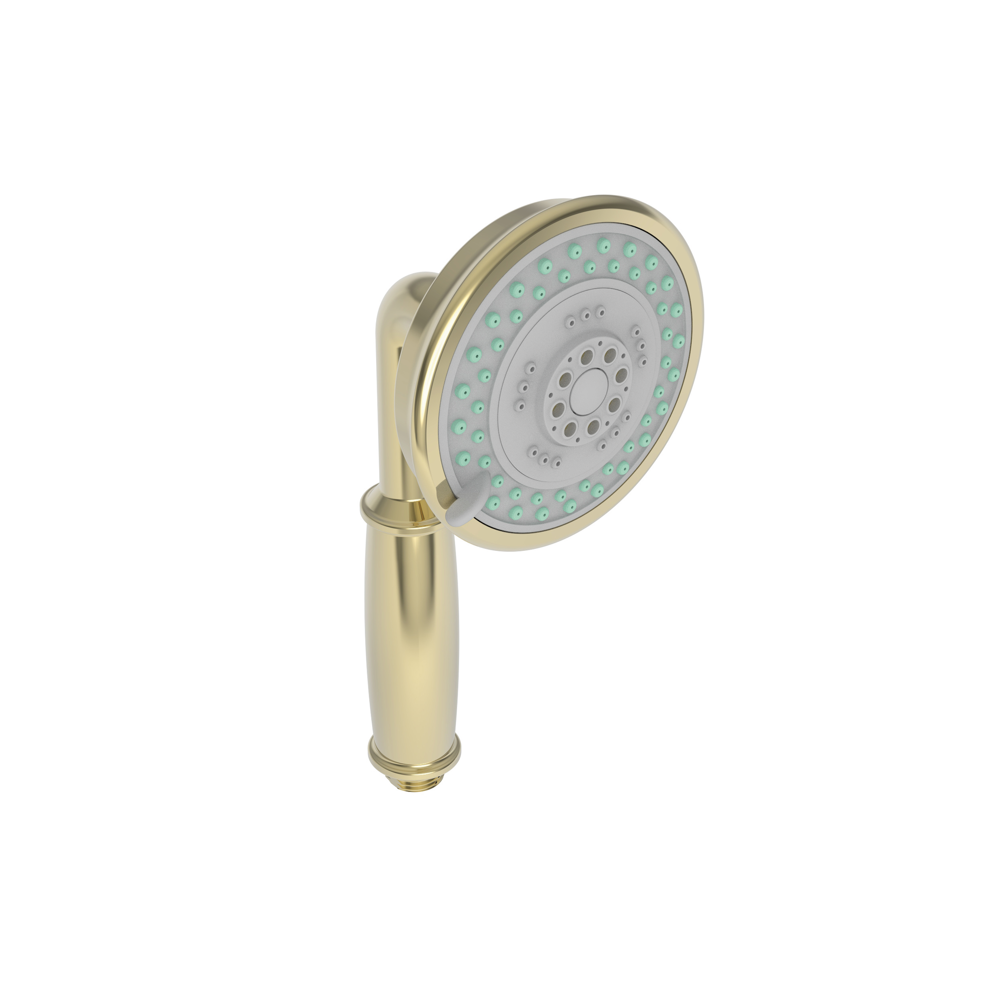 Newport Brass Multifunction Round Hand Shower