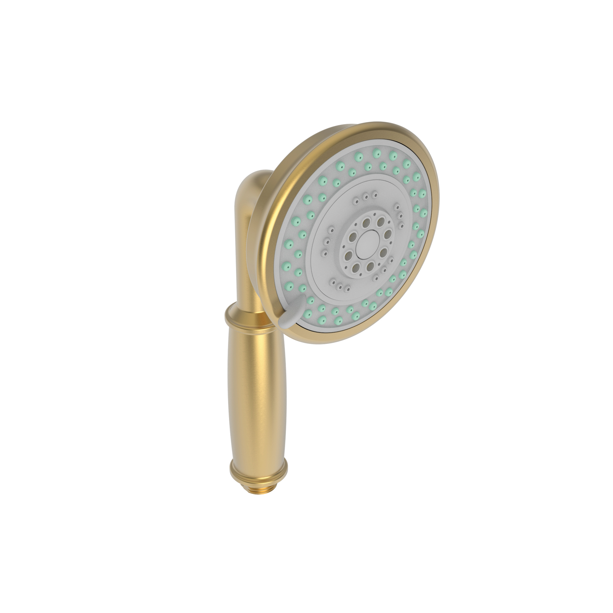 Newport Brass Multifunction Round Hand Shower