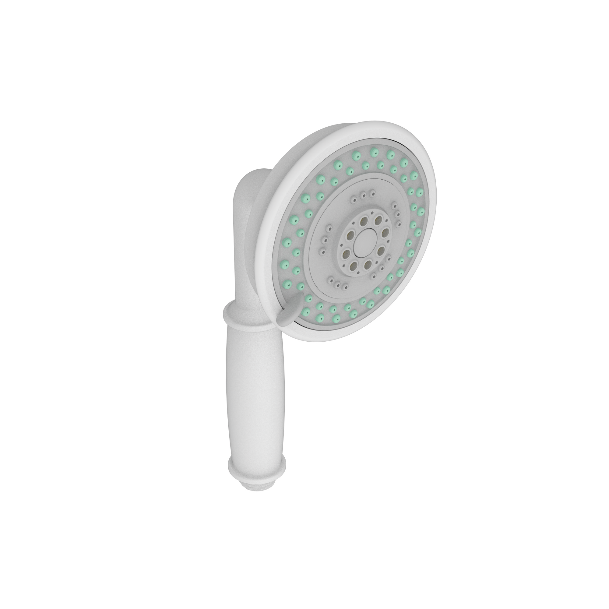 Newport Brass Multifunction Round Hand Shower